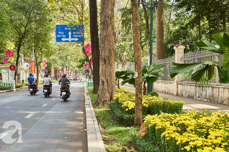 Có đâu ăn Tết lớn như Sài Gòn, đem heo 50 sắc thái phủ khắp nẻo đường lớn nhỏ - Ảnh 15.