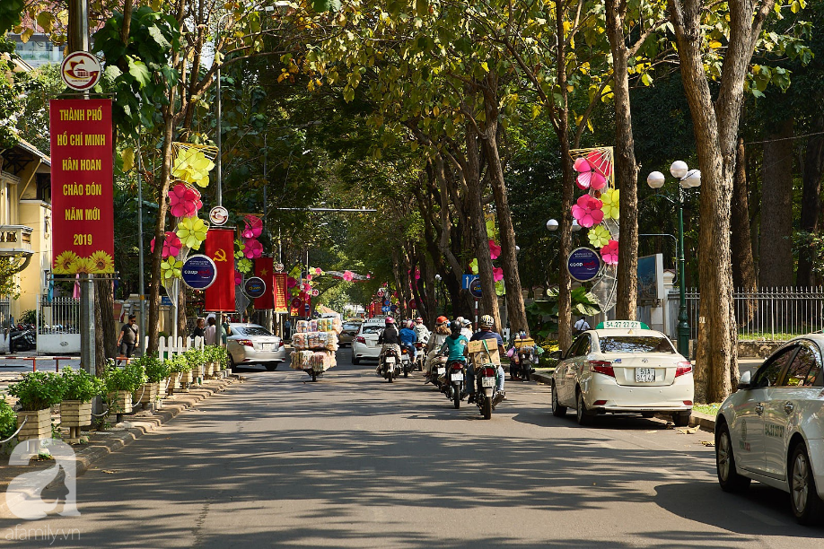 Có đâu ăn Tết lớn như Sài Gòn, đem heo 50 sắc thái phủ khắp nẻo đường lớn nhỏ - Ảnh 2.