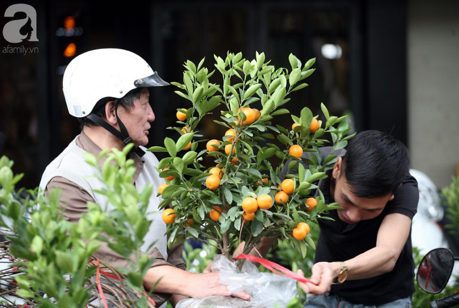 Hà Nội: Chợ hoa cổ Hàng Lược, chỉ họp 1 phiên duy nhất đông nghịt ngày cuối năm - Ảnh 4.