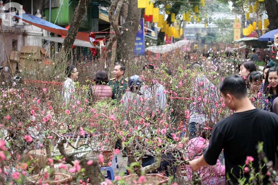 Hà Nội: Chợ hoa cổ Hàng Lược, chỉ họp 1 phiên duy nhất đông nghịt ngày cuối năm - Ảnh 7.