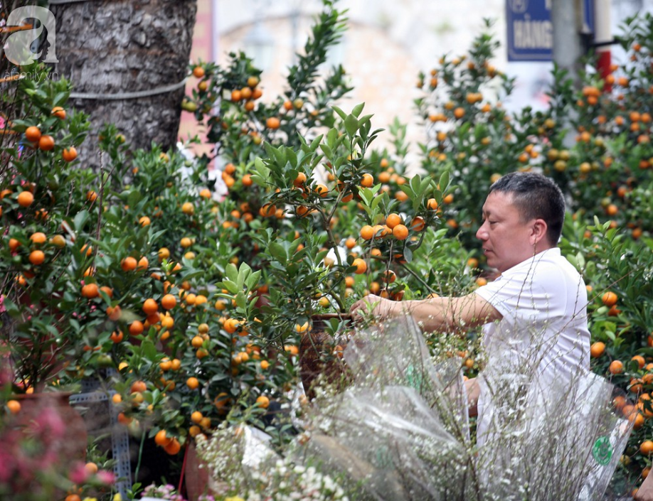 Hà Nội: Chợ hoa cổ Hàng Lược, chỉ họp 1 phiên duy nhất đông nghịt ngày cuối năm - Ảnh 13.