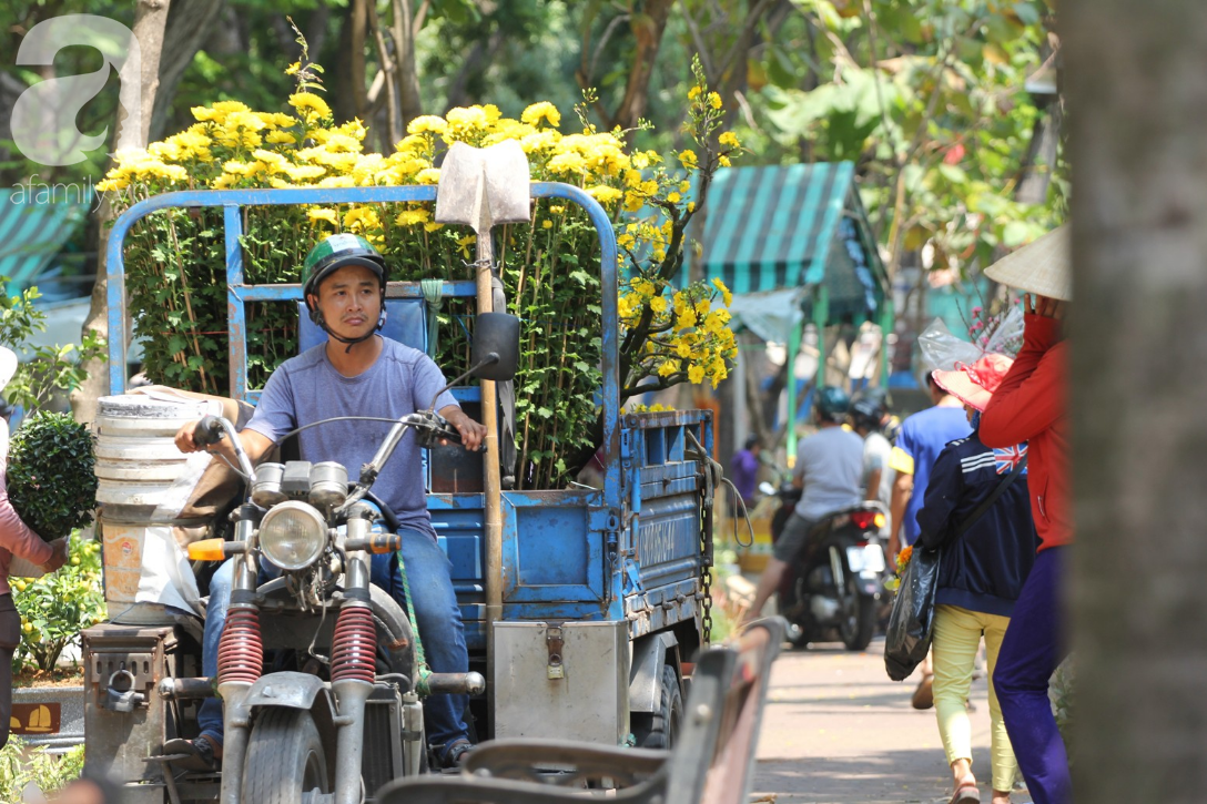 Đại hạ giá vẫn vắng khách mua, tiểu thương tự tay đập hoa, phản ứng cực gắt với những người đến xin hoa giờ cuối - Ảnh 3.