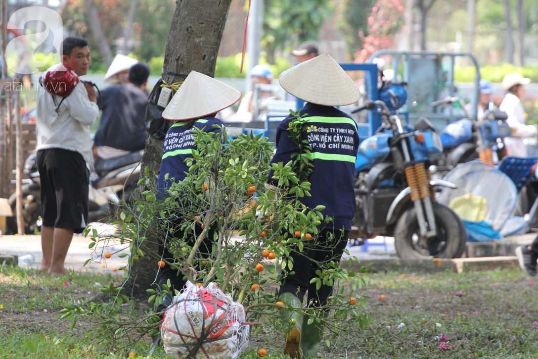 Đại hạ giá vẫn vắng khách mua, tiểu thương tự tay đập hoa, phản ứng cực gắt với những người đến xin hoa giờ cuối - Ảnh 12.