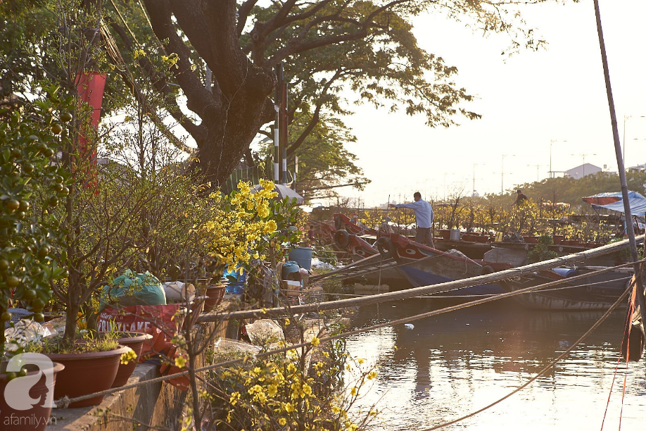 Bến Bình Đông chiều 30 Tết -  một góc hồi ức vàng son được tái hiện của người Sài Gòn Chợ Lớn - Ảnh 4.