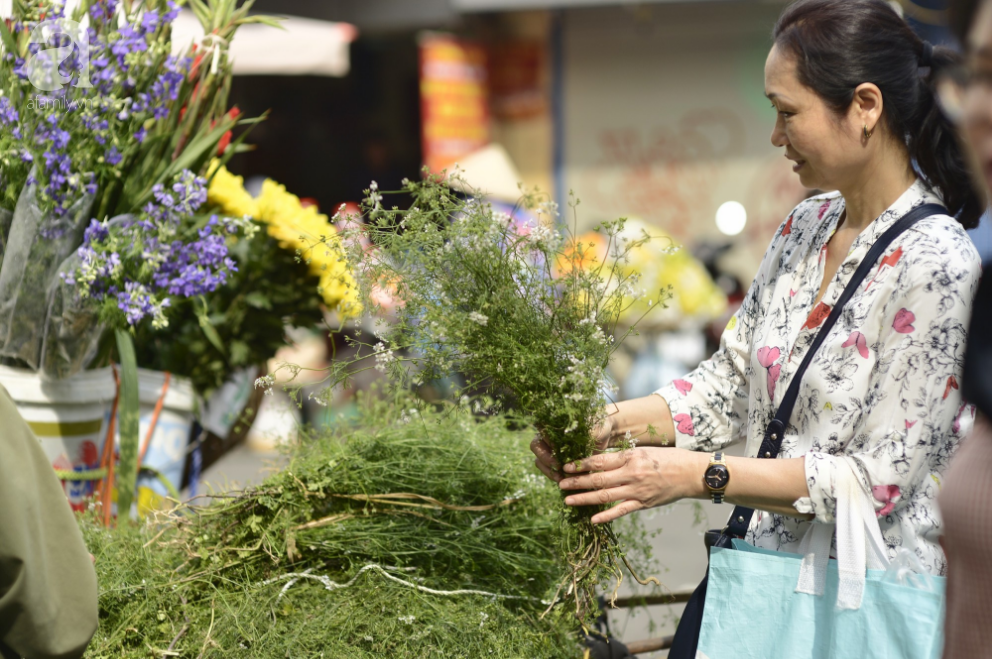 section_inspiration_small