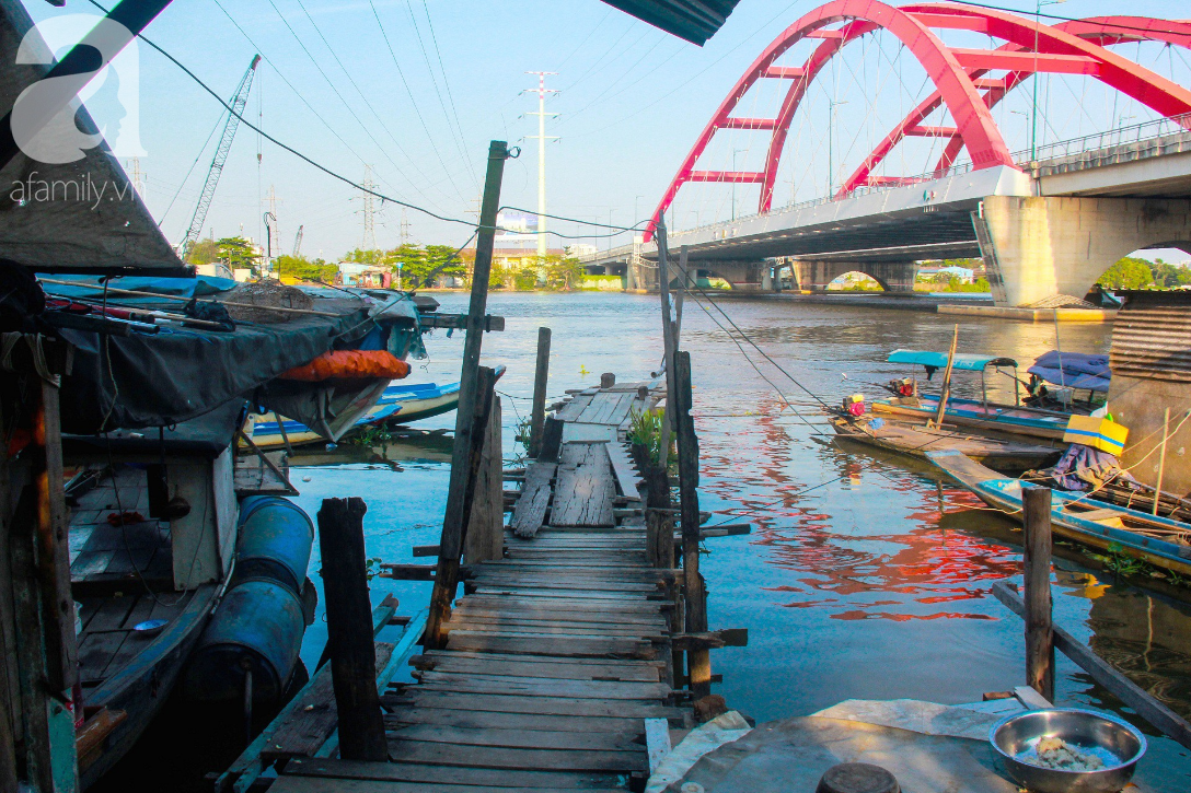 Giấc mơ gần nửa thế kỉ của xóm chài nghèo giữa Sài Gòn: Muốn lên bờ sống nốt những ngày tháng cuối đời - Ảnh 5.