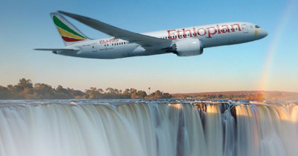 Thảm kịch: Máy bay của hãng hàng không Ethiopian Airlines chở 157 người rơi, không một ai sống sót - Ảnh 1.