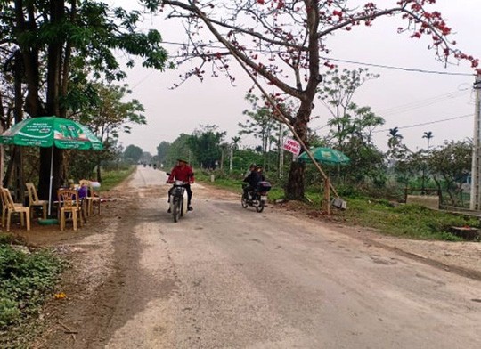 Cán bộ ngồi đánh bài trong chòi tại chốt kiểm dịch tả heo châu Phi - Ảnh 1.