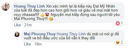 Mai Phương Thúy chỉ ước kiếp sau đẹp hơn Hoàng Thùy Linh, fan thi nhau kêu gào: Chị còn chưa đủ đẹp sao - Ảnh 3.