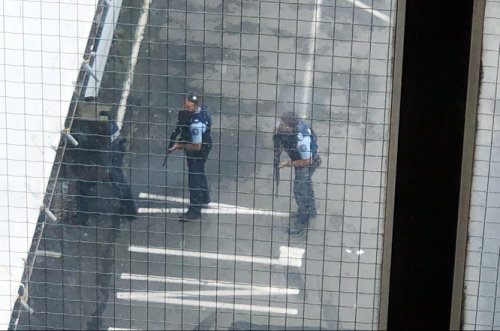 Xả súng đẫm máu tại New Zealand: Kẻ thủ ác livestream từ đầu đến cuối, ít nhất 49 người thiệt mạng  - Ảnh 5.