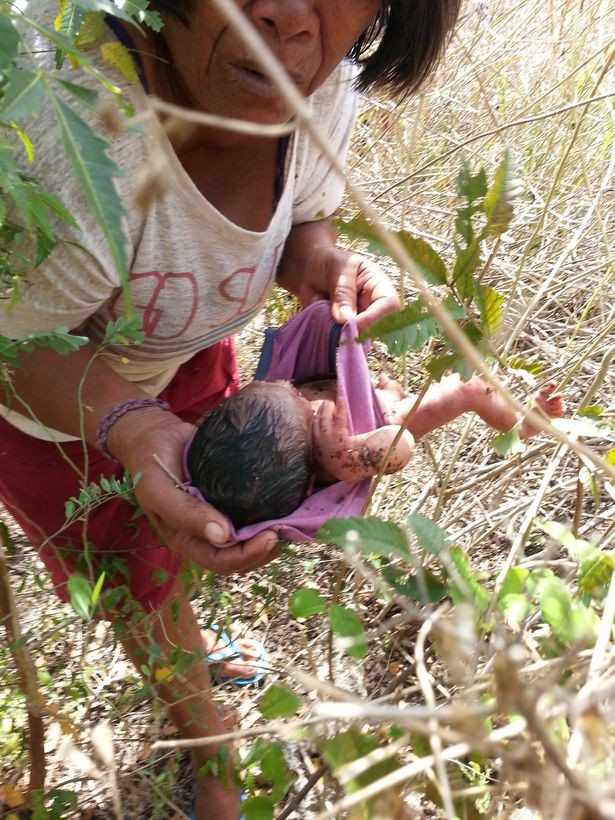 Cảnh tượng gây ám ảnh: Bé gái sơ sinh không một mảnh vải che thân bị bỏ rơi trong rừng, côn trùng bu cắn khắp cơ thể - Ảnh 4.