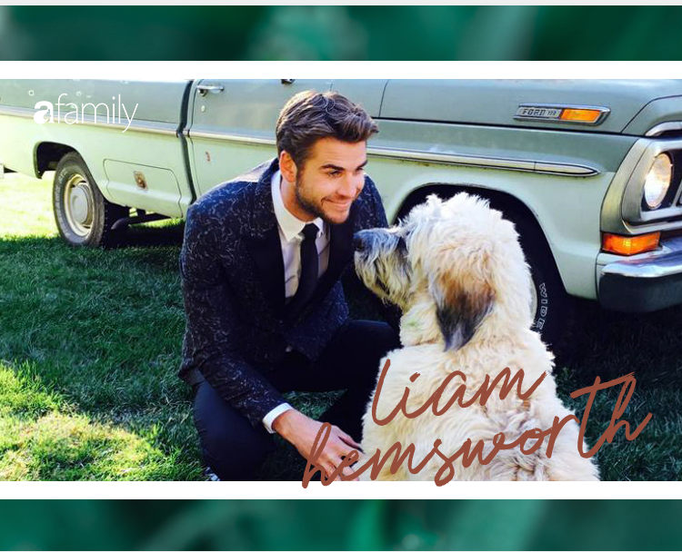 Gửi Liam Hemsworth của Miley Cyrus: “Em vốn là một cô gái bình thường nhưng vì yêu anh đã trở nên phi thường...” - Ảnh 9.