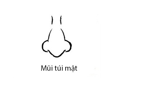 Phụ nữ sở hữu 3 tướng mũi này thì cả đời không lo cơm áo gạo tiền, hậu vận không những giàu có mà còn sung túc viên mãn - Ảnh 2.