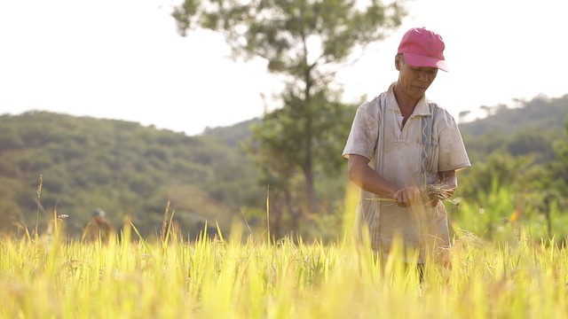&ldquo;C&ugrave;ng x&acirc;y ước mơ&rdquo; &ndash; những thước phim đẹp v&agrave; ch&acirc;n thật về cuộc đời - Ảnh 1.