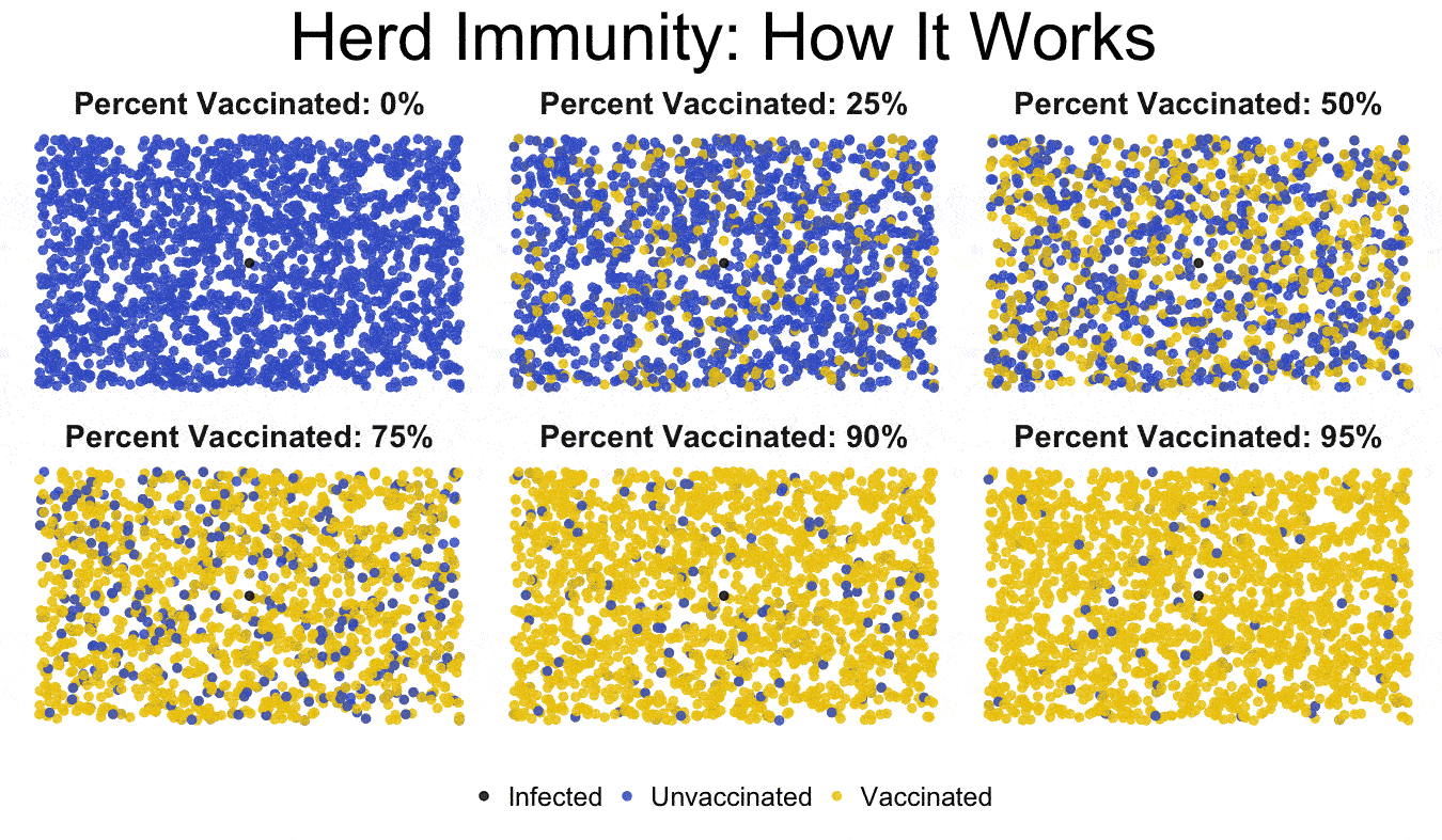 Ai cũng tiêm vaccine thì sẽ tạo nên miễn dịch cộng đồng  - điều tuyệt vời trong việc phòng ngừa bệnh - Ảnh 2.