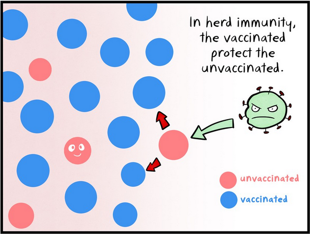 Ai cũng tiêm vaccine thì sẽ tạo nên miễn dịch cộng đồng  - điều tuyệt vời trong việc phòng ngừa bệnh - Ảnh 4.