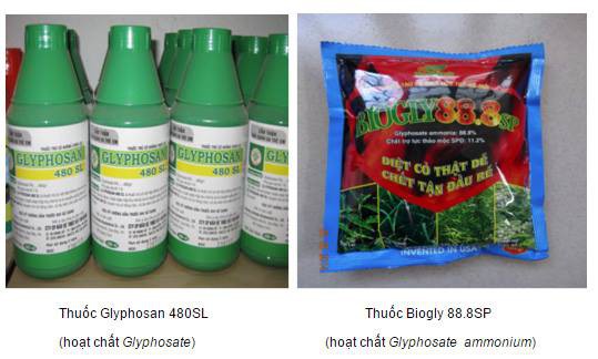 Chính thức loại bỏ thuốc bảo vệ thực vật chứa chất gây ung thư tại Việt Nam - Ảnh 1.