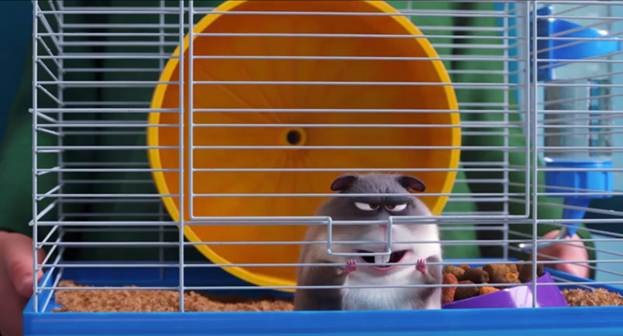 Trailer mới của Đẳng cấp thú cưng 2 siêu hài: Mèo bị rối loạn ứng xử, chuột bị ám ảnh giảm cân - Ảnh 5.