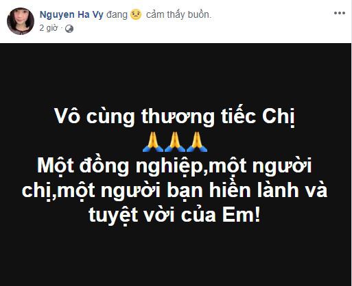 Sao Việt xót xa đau đớn trước thông tin người mẫu Như Hương qua đời ở tuổi 37 vì ung thư - Ảnh 3.