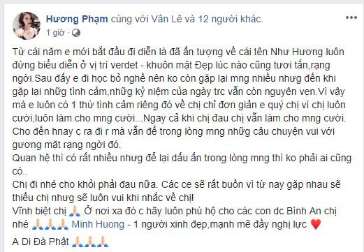 Sao Việt xót xa đau đớn trước thông tin người mẫu Như Hương qua đời ở tuổi 37 vì ung thư - Ảnh 4.