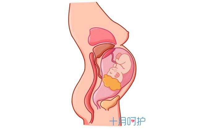 42 ngày sau sinh các mẹ có nên đến bệnh viện tái khám không và đây là câu trả lời của bác sĩ - Ảnh 2.