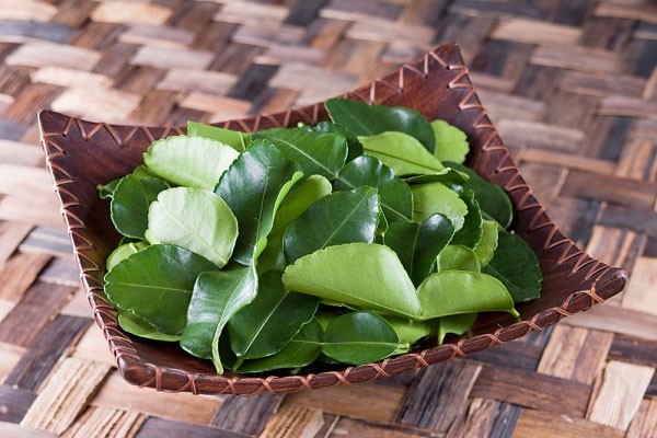 Mẹ ơi, vì sao thế: Đắng là vậy nhưng sao đã ăn thịt gà thì nhất định phải có lá chanh? - Ảnh 2. Mẹ ơi, vì sao thế: Đắng là vậy nhưng sao đã ăn thịt gà thì nhất định phải có lá chanh? - Ảnh 2.