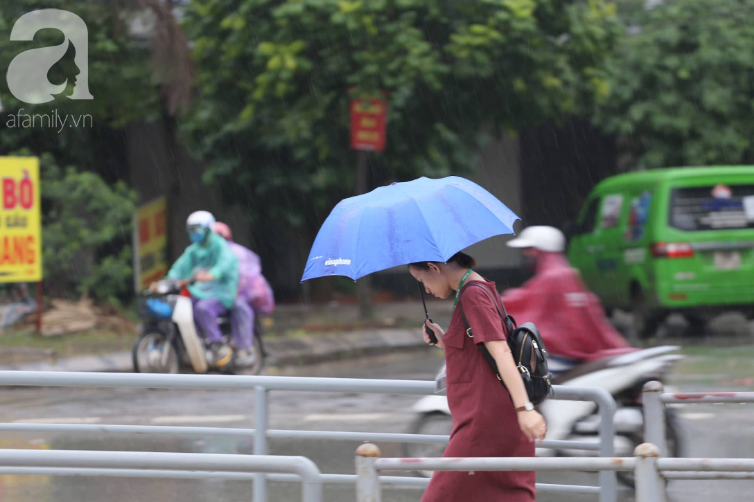 Mong mỏi đến hao mòn, cuối cùng Hà Nội cũng đã có mưa sau bao ngày nóng như chảo lửa - Ảnh 8.