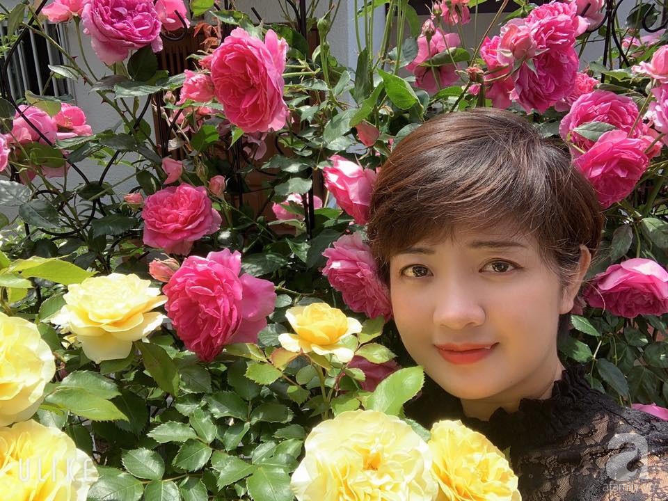 Góc vườn 20m² thơm ngát hoa hồng đủ loại của nữ giám đốc Việt ở Nhật Bản - Ảnh 4.