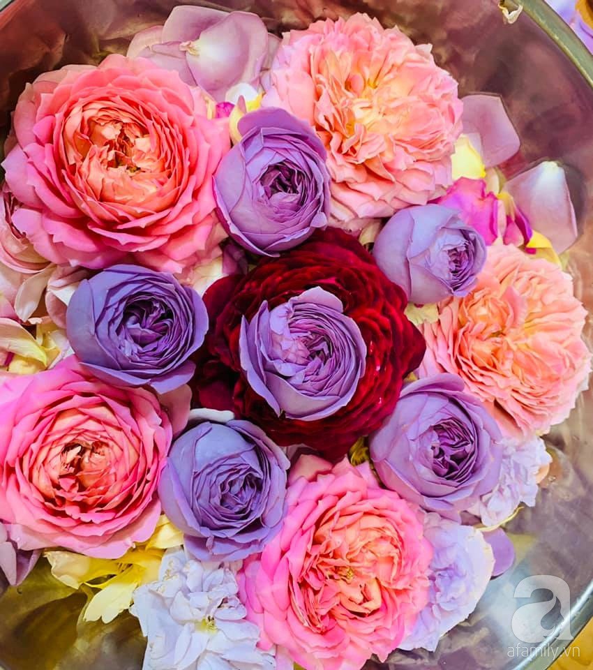 Góc vườn 20m² thơm ngát hoa hồng đủ loại của nữ giám đốc Việt ở Nhật Bản - Ảnh 6.