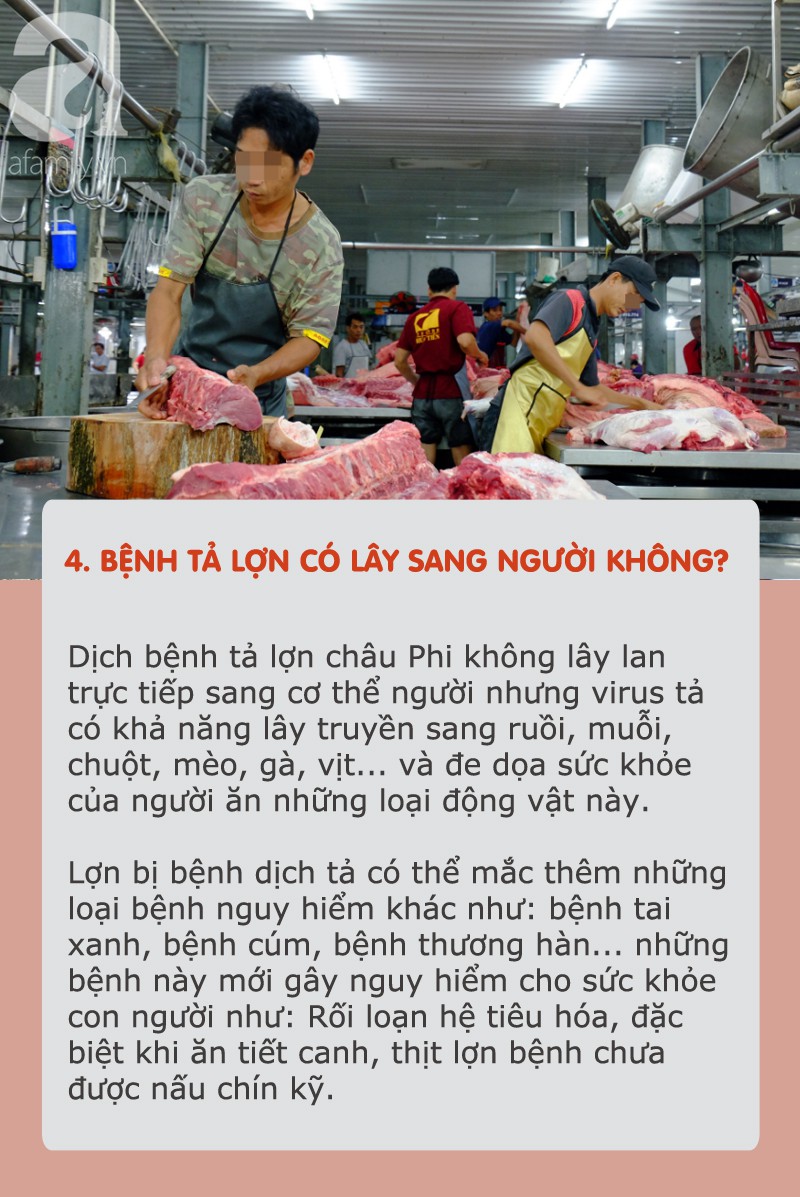 Dịch tả lợn châu Phi hoành hành: Tất cả thông tin cần biết và cách chọn, chế biến thịt an toàn khi đang có dịch - Ảnh 4.