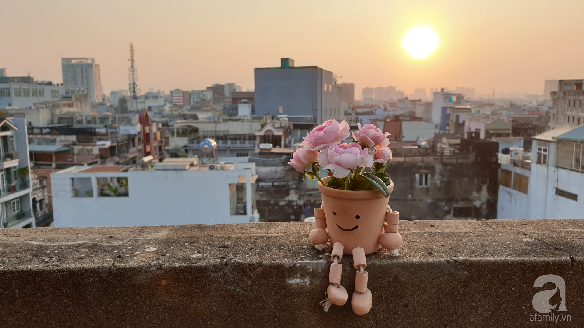 Vườn hồng trên sân thượng rực rỡ sắc màu của chàng trai 8x siêu đảm ở Sài Gòn - Ảnh 17.
