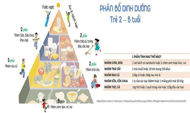 Vì sao trẻ từ 2 - 6 tuổi cần phải được bổ sung lượng đạm đầy đủ hàng ngày? - Ảnh 3.