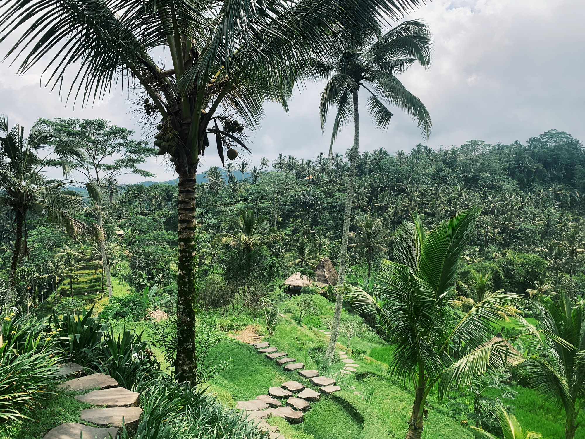 Mặc cho người khen kẻ chê về Bali, cặp vợ chồng doanh nhân vẫn chọn hòn đảo thiên đường để kỷ niệm 1 năm ngày cưới - Ảnh 4.