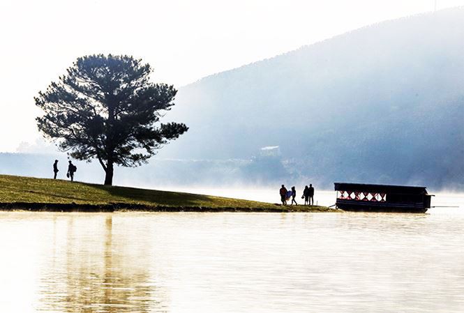 Lao xuống Suối Vàng vào đêm khuya, tài xế xe bán tải chết thương tâm - Ảnh 2.