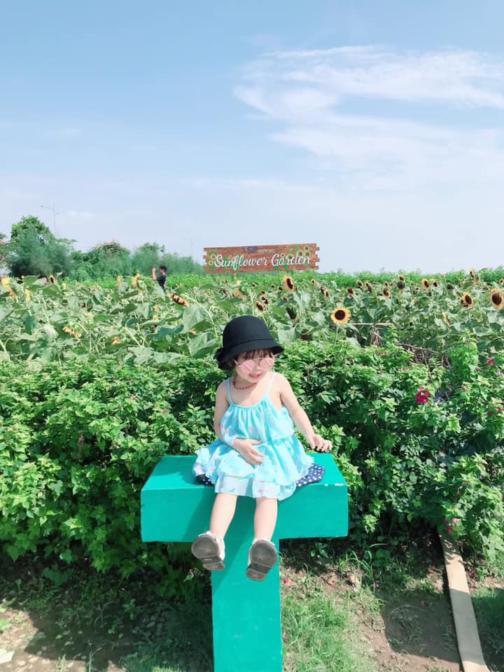 Trời 38 độ hí hửng lên vườn hướng dương chụp hình thơ mộng, cô nàng bị cư dân mạng chế ảnh đi muôn nơi: “Nắng thế này hoa héo hết rồi, chị hiểu hông?” - Ảnh 7. Trời 38 độ hí hửng lên vườn hướng dương chụp hình thơ mộng, cô nàng bị cư dân mạng chế ảnh đi muôn nơi: “Nắng thế này hoa héo hết rồi, chị hiểu hông?” - Ảnh 7.