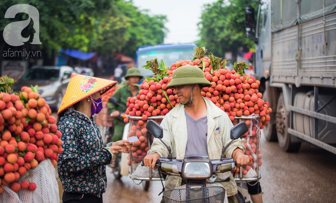 Nông dân trồng vải ở Bắc Giang: “ Chúng tôi vui khi vải thiều năm nay mất mùa” - Ảnh 3.