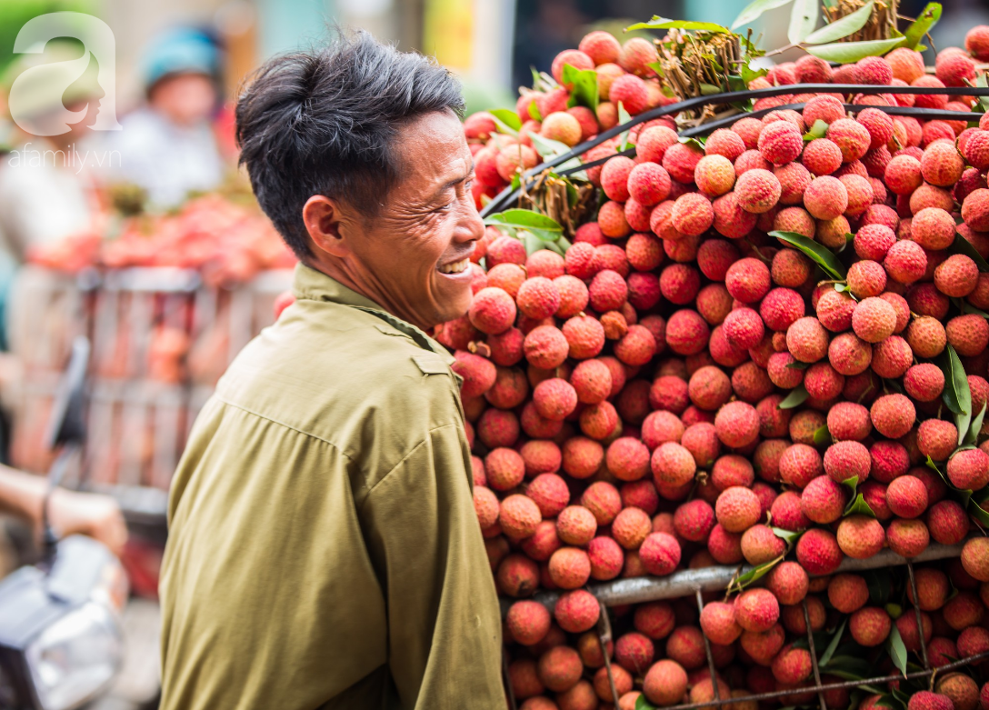 Nông dân trồng vải ở Bắc Giang: “ Chúng tôi vui khi vải thiều năm nay mất mùa” - Ảnh 8.