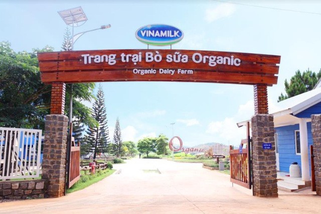 Cần 1 nơi để gia đình khám phá thiên nhiên: Hãy thử 1 ngày trải nghiệm ở trang trại bò sữa Vinamilk Organic Đà Lạt - Ảnh 1. Cần 1 nơi để gia đình khám phá thiên nhiên: Hãy thử 1 ngày trải nghiệm ở trang trại bò sữa Vinamilk Organic Đà Lạt - Ảnh 1.