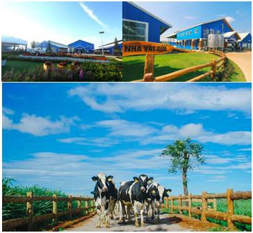 Cần 1 nơi để gia đình khám phá thiên nhiên: Hãy thử 1 ngày trải nghiệm ở trang trại bò sữa Vinamilk Organic Đà Lạt - Ảnh 3. Cần 1 nơi để gia đình khám phá thiên nhiên: Hãy thử 1 ngày trải nghiệm ở trang trại bò sữa Vinamilk Organic Đà Lạt - Ảnh 3.