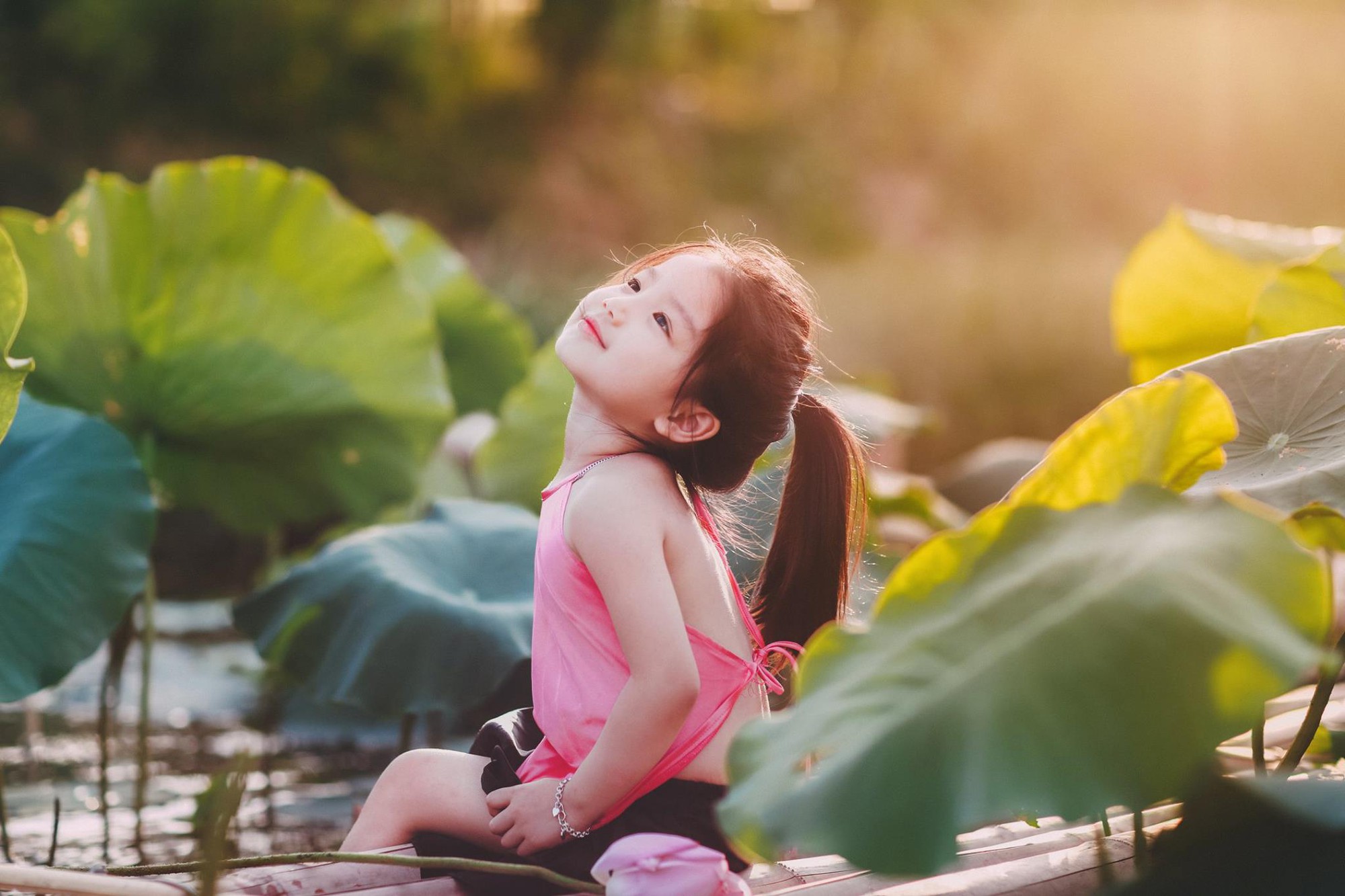 Hoa sen cho bé: Một chiếc hoa sen nhỏ xinh sẽ làm bé yêu của bạn cảm thấy đầy ấn tượng và yêu cuộc sống hơn. Hãy cùng chiêm ngưỡng hình ảnh hoa sen cho bé trong bộ sưu tập của chúng tôi.