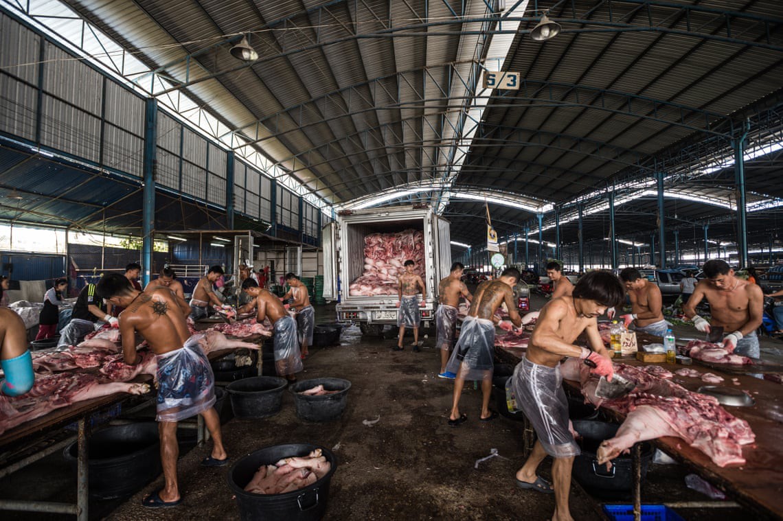 Sự thật tàn khốc đằng sau những lò giết mổ lợn ở Thái Lan với nỗi đau thấu tim can không ai biết - Ảnh 7.