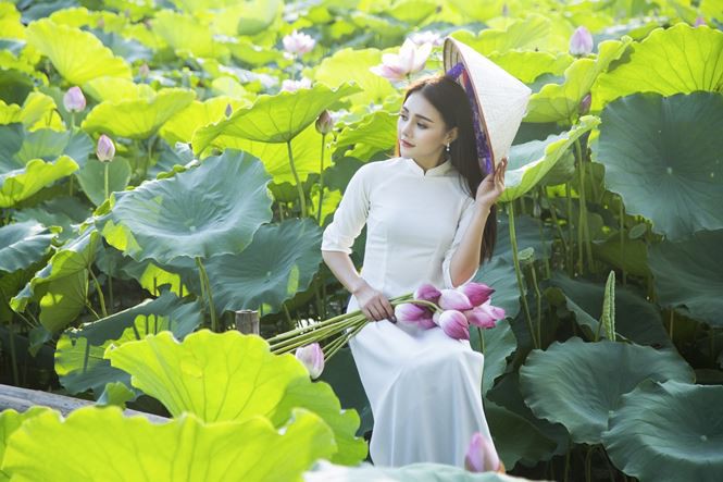 Nàng mẫu 9x diện áo dài đẹp tinh khôi giữa đầm sen trắng  Người đẹp  Việt  Giải Trí