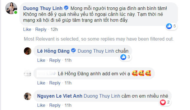 viet anh31