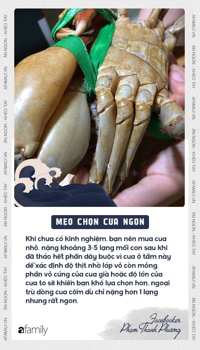 CHỌN CUA 2