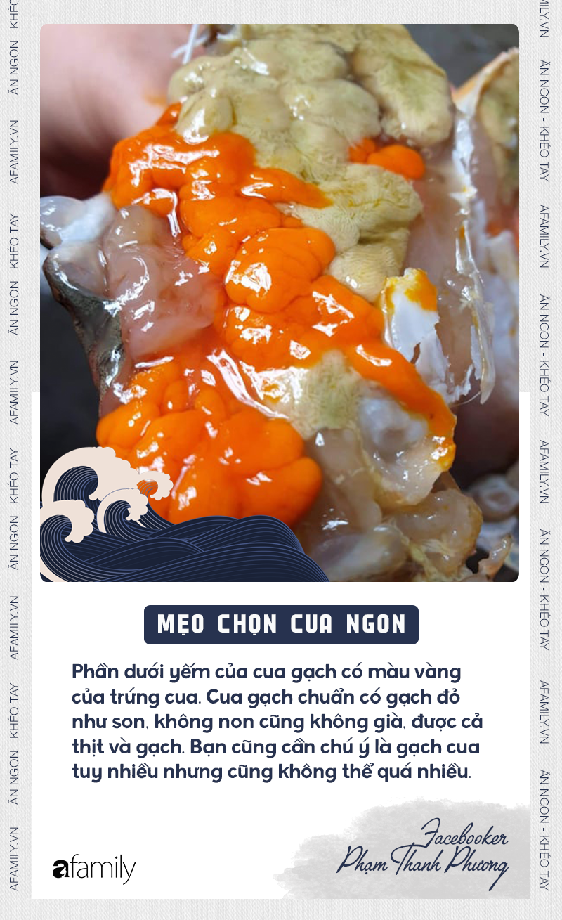 CHỌN CUA 3