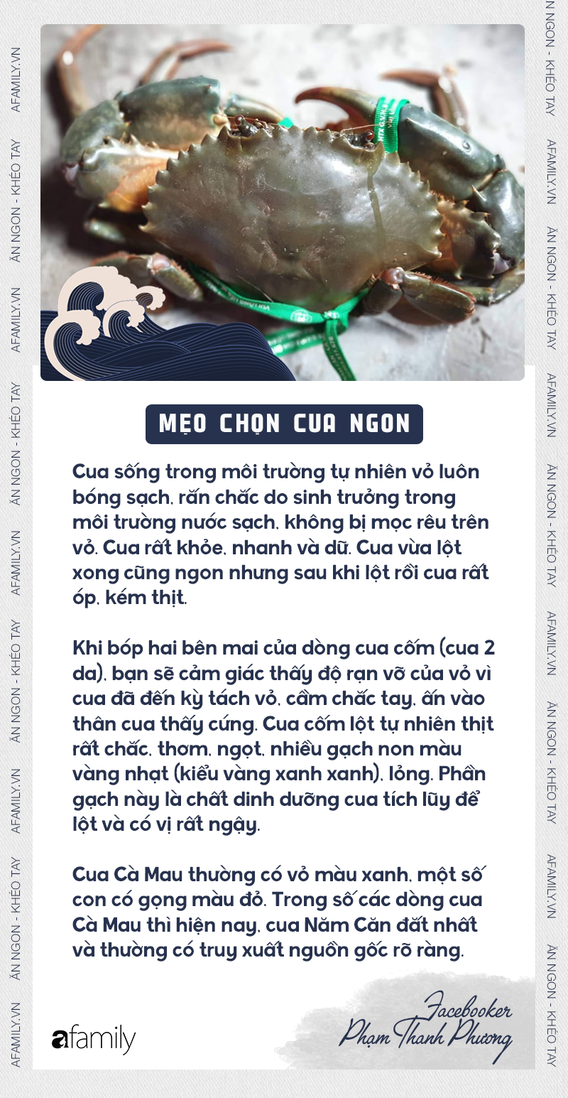 CHỌN CUA 4