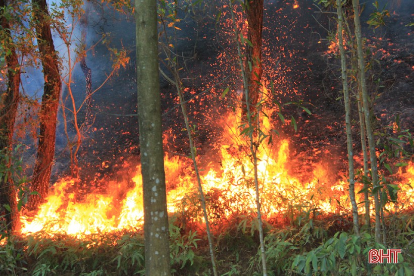 Đám cháy bùng phát trở lại lúc rạng sáng, rừng ở Hà Tĩnh lại chìm trong biển lửa - Ảnh 4.
