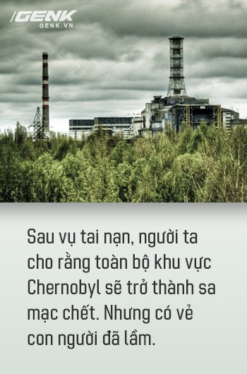 Từ địa ngục, Chernobyl nay trở thành thiên đường cho các loài động vật, có phải con người mới đáng sợ hơn cả hạt nhân? - Ảnh 5.