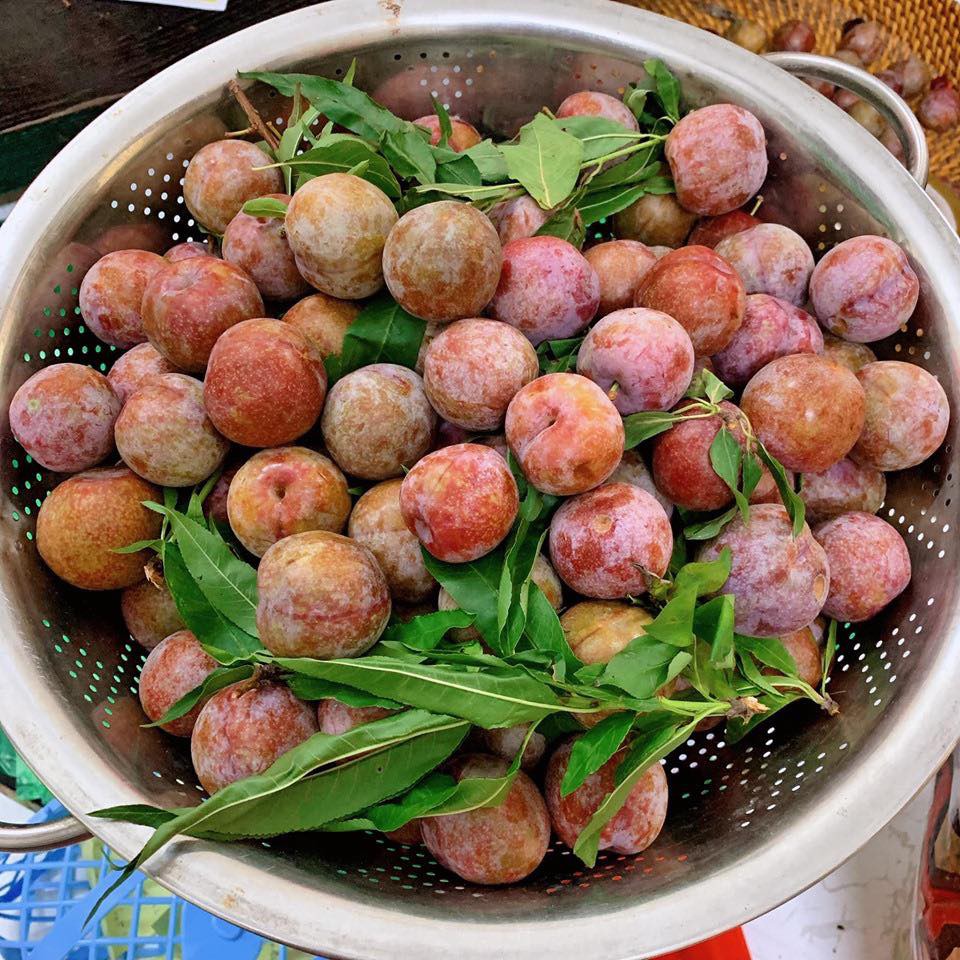 Học ngay Hot Facebooker Tô Hưng Giang cách mua mận ngon thơm dày cùi cực chuẩn dâng lễ ngày Tết Đoan Ngọ - Ảnh 7.