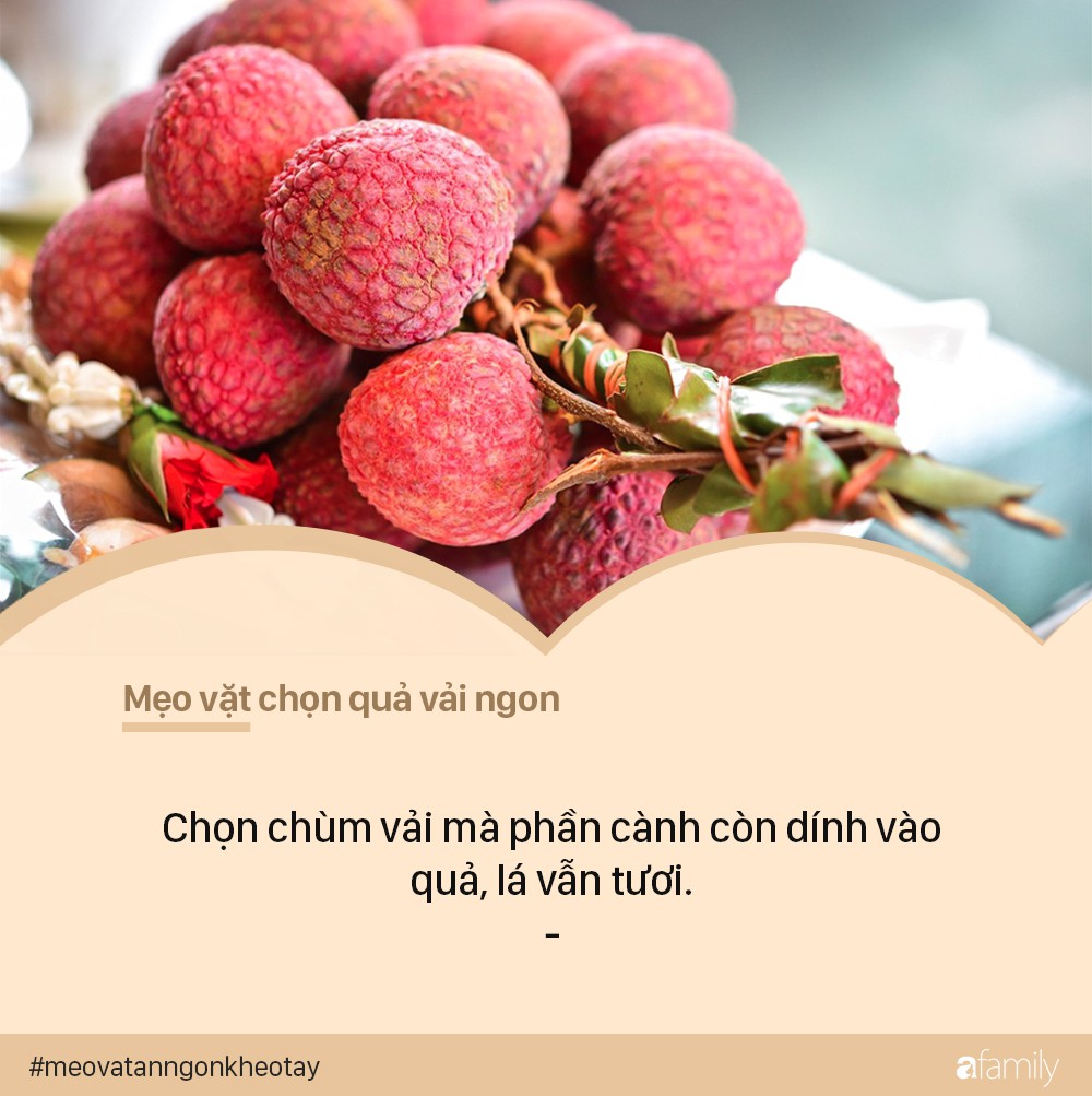 Muốn ăn vải ngon, không bị sâu đầu thì buộc phải biết mẹo chọn vải &quot;chuẩn không cần chỉnh&quot; này - Ảnh 1.